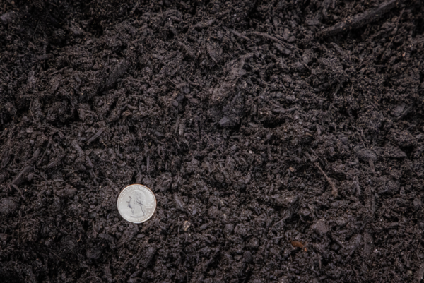 Black Bark Mulch