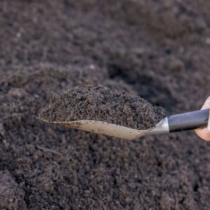 rich garden soil in a trowl