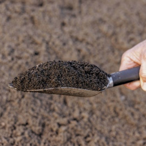 turf mix in a trowl