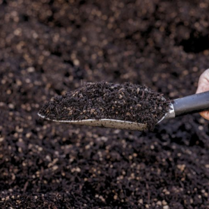 potting mix in a trowl