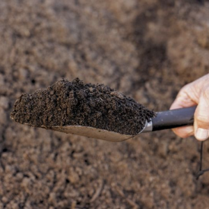 organic garden soil in a trowl