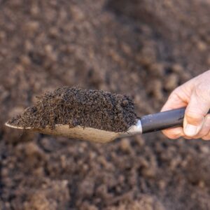 Lenz Organic Garden Soil with Steer Manure