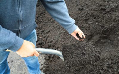Compost vs.Topsoil: What’s the Difference?