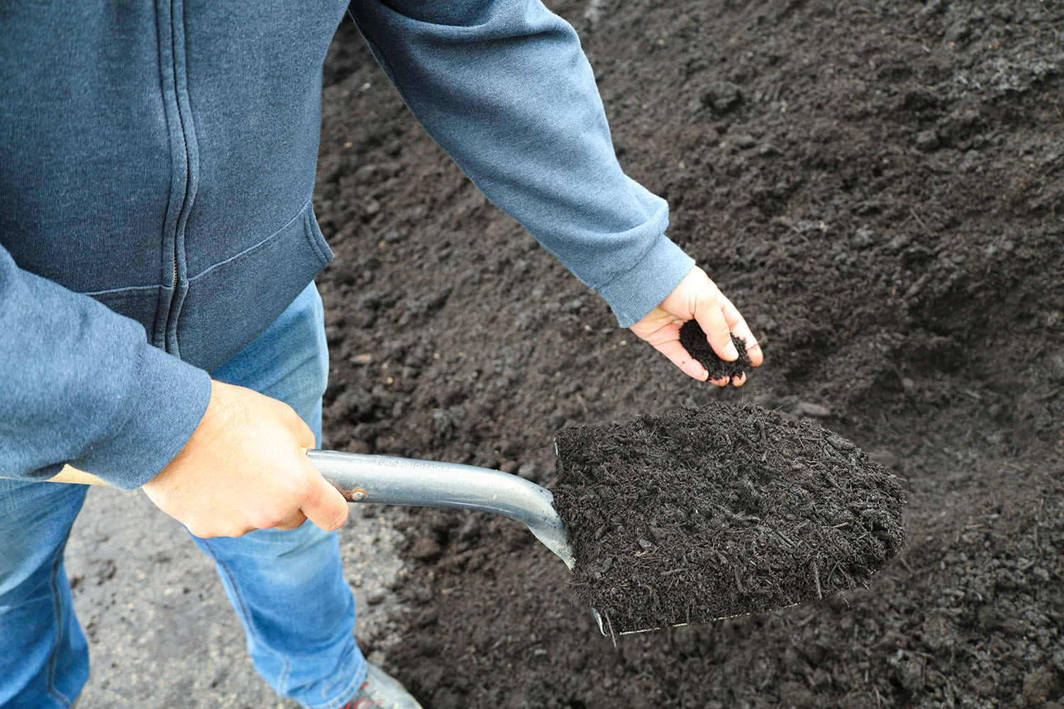 Compost vs.Topsoil: What’s the Difference? - Lenz Enterprises