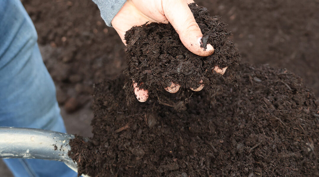 Handful of rich mulch made by Lenz Enterprises