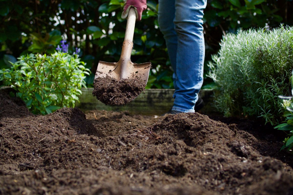 person tilling compost into soil