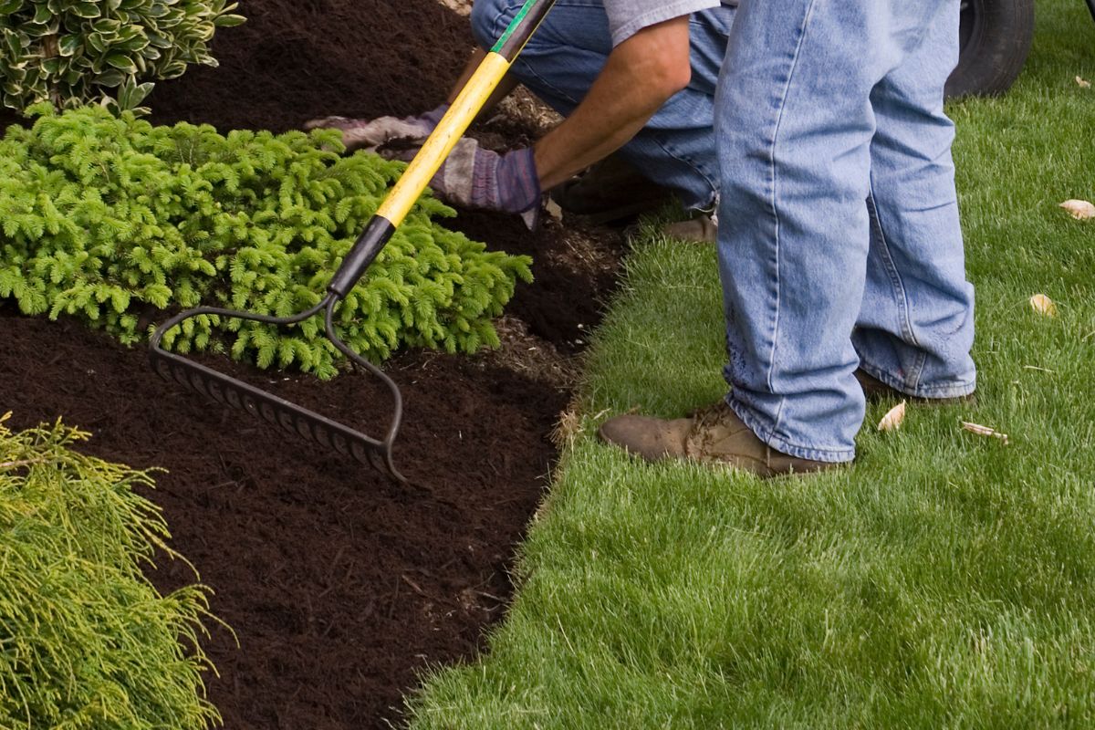 person spreading Lenz Mulch