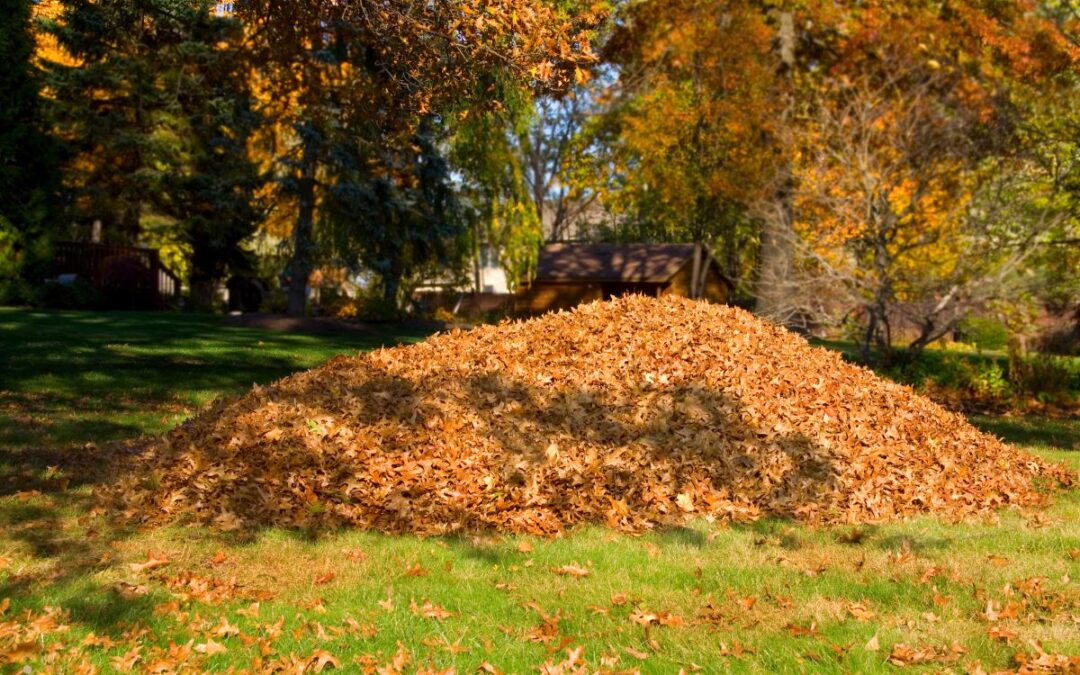 Top 5 Reasons to Green Recycle Your Yard Debris This Fall