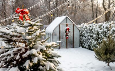 7 Tips to Make Sure Your Yard and Garden is Winter-Weather Ready