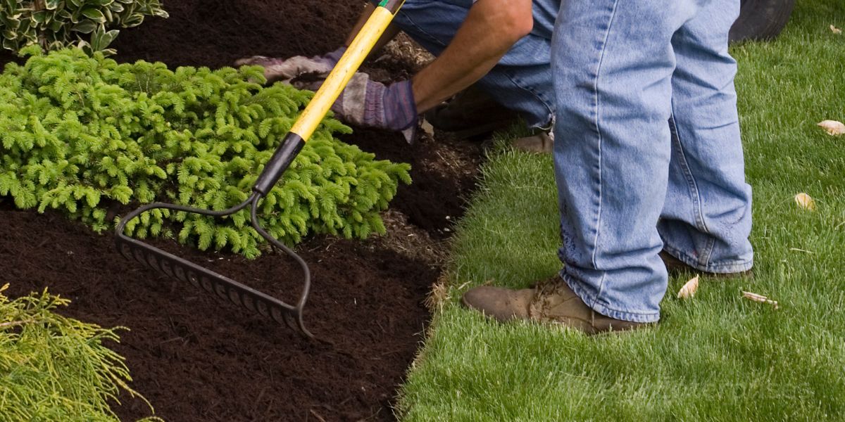 spreading mulch