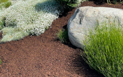 Get Ahead of Spring Weed Control with Mulch