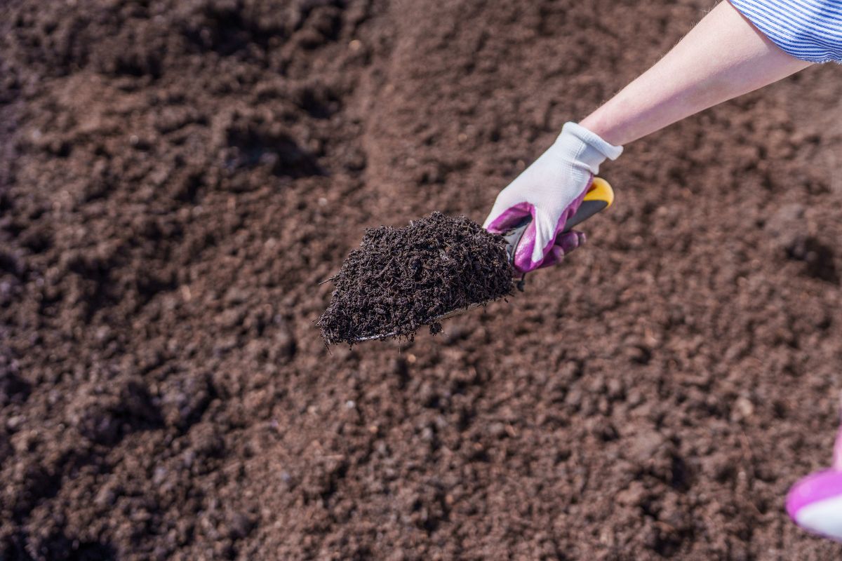 Benefits of Using Compost- Lenz Enterprises