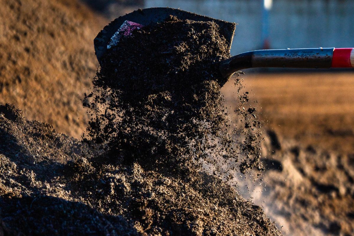 Help the Earth, Help Your Gardens_ Use Quality Compost - Lenz Enterprises