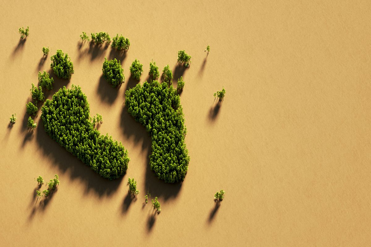 How Compost Reduces Our Carbon Footprint- Lenz Enterprises
