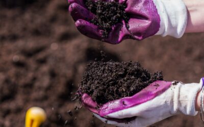 Compost: Natural Nutrition for Your Soil
