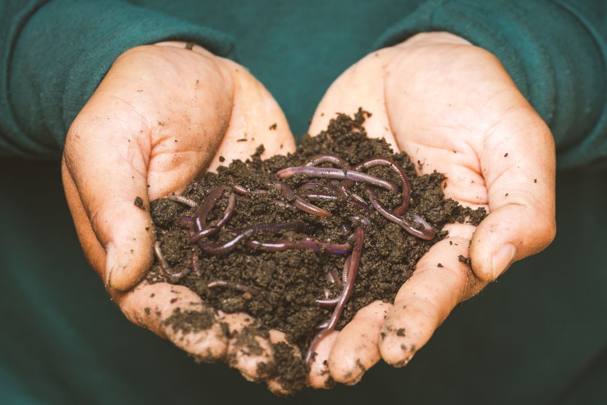 Ways to Compost - Lenz Enterprises