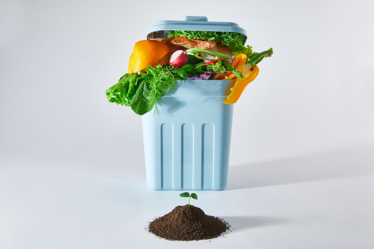 What Goes into the Compost Bin-- Lenz Enterprises