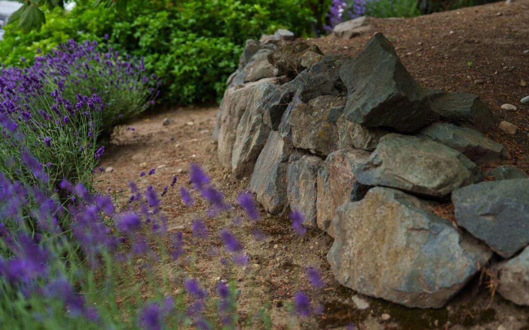 Three Tips for Adding Rockery to Your Landscape
