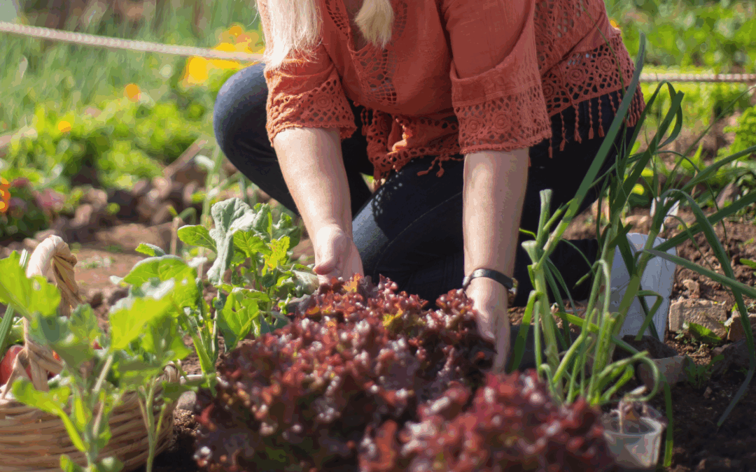 Prepare Your PNW Garden for Fall – and Spring!