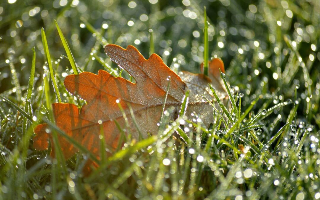 5 Ways to Winterize Your Property