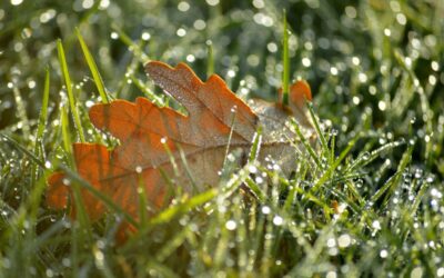 5 Ways to Winterize Your Property