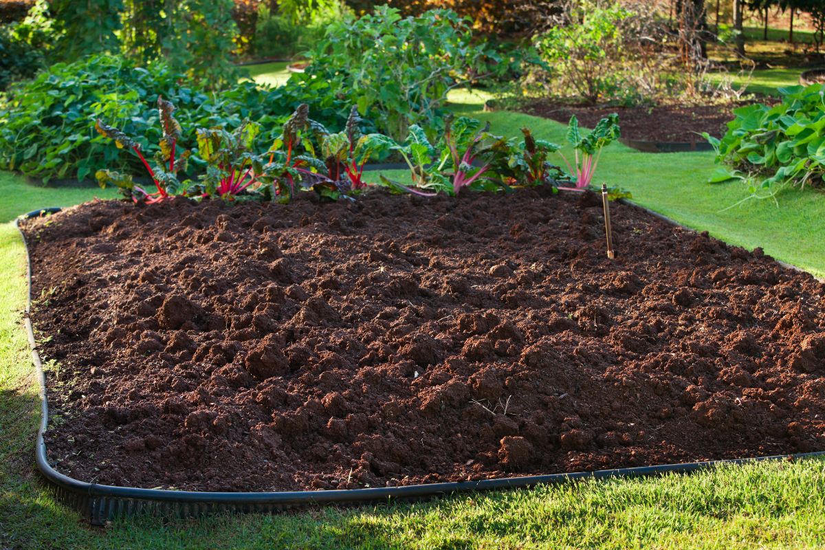 Clear Garden Beds and Amend Soil