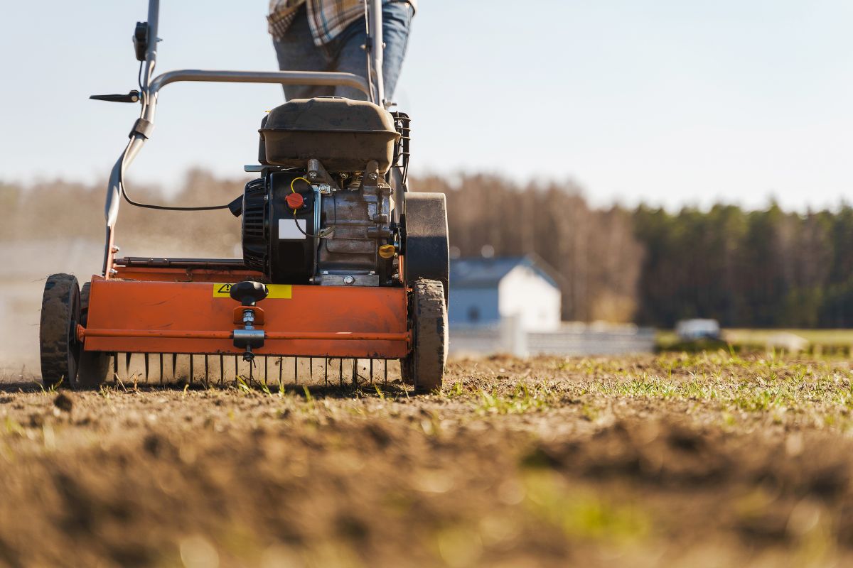 Dethatching Lawn
