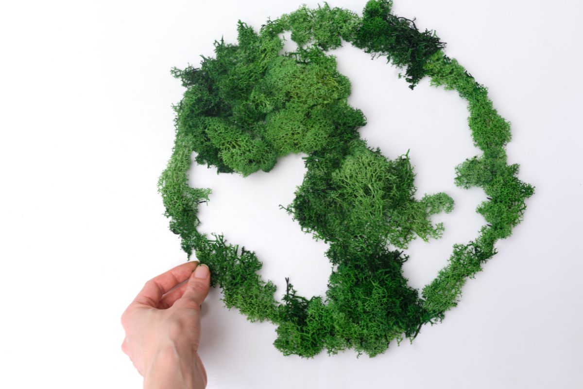 outline of earth in green plants