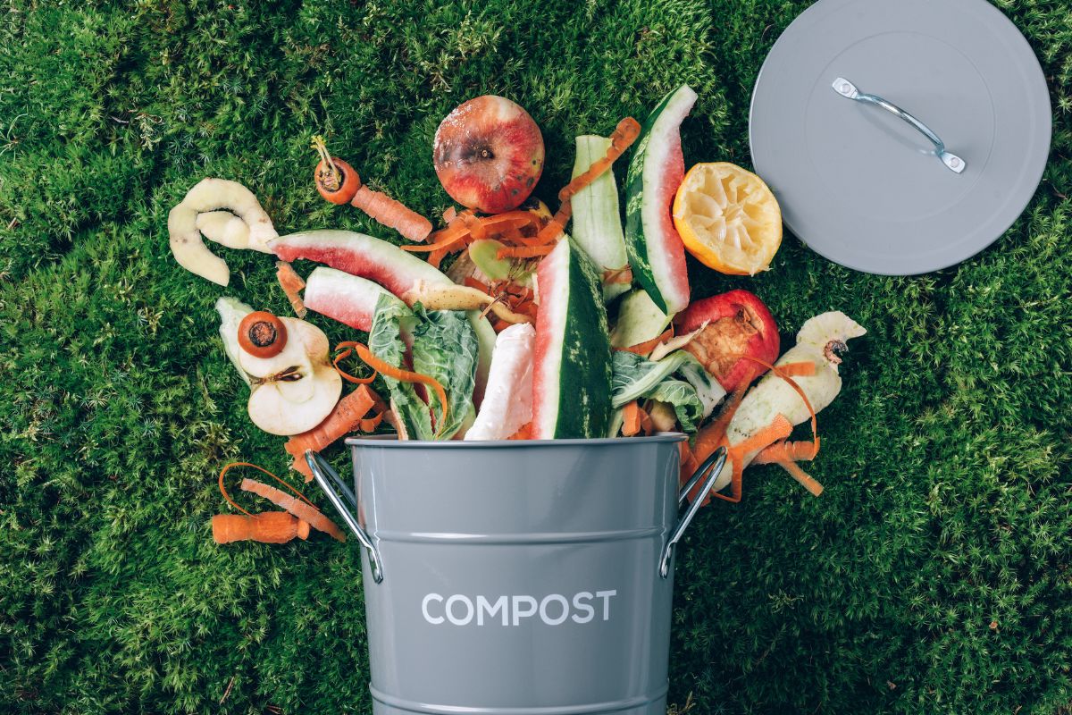 compost bin with food scraps