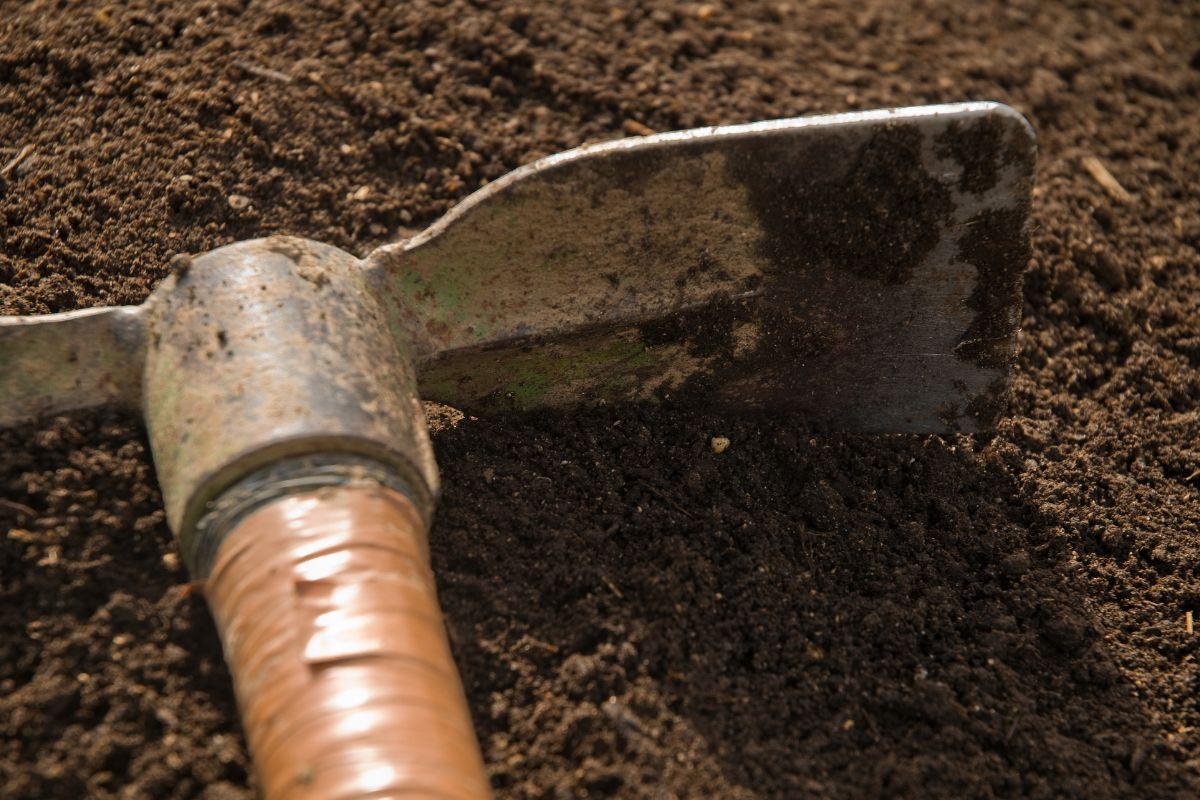 garden hoe in soil