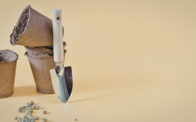 Starting Seeds in February: A PNW Gardener’s Guide to Early Season Gardening