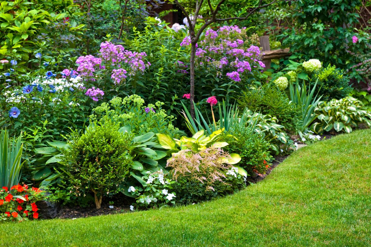 Thriving flower garden in your lawn
