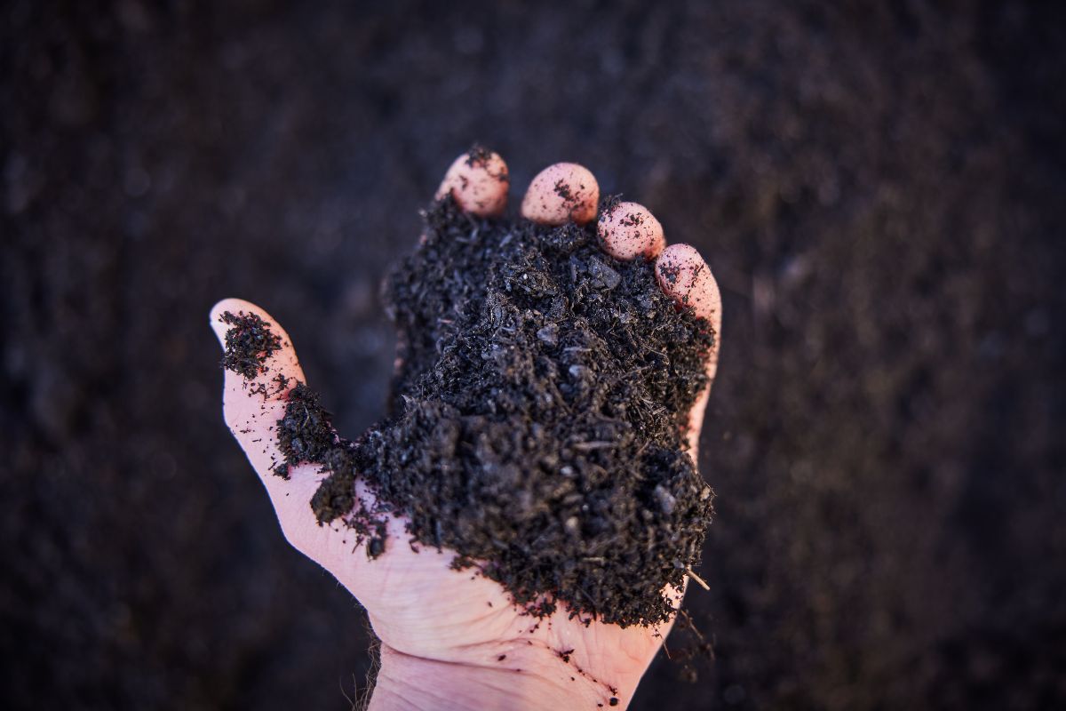 Lenz Premium Compost