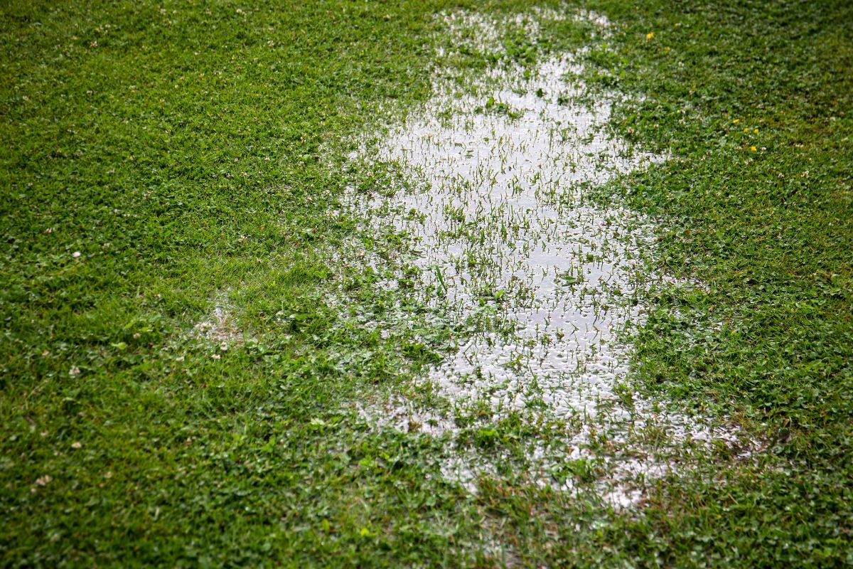 Poor Lawn Drainage