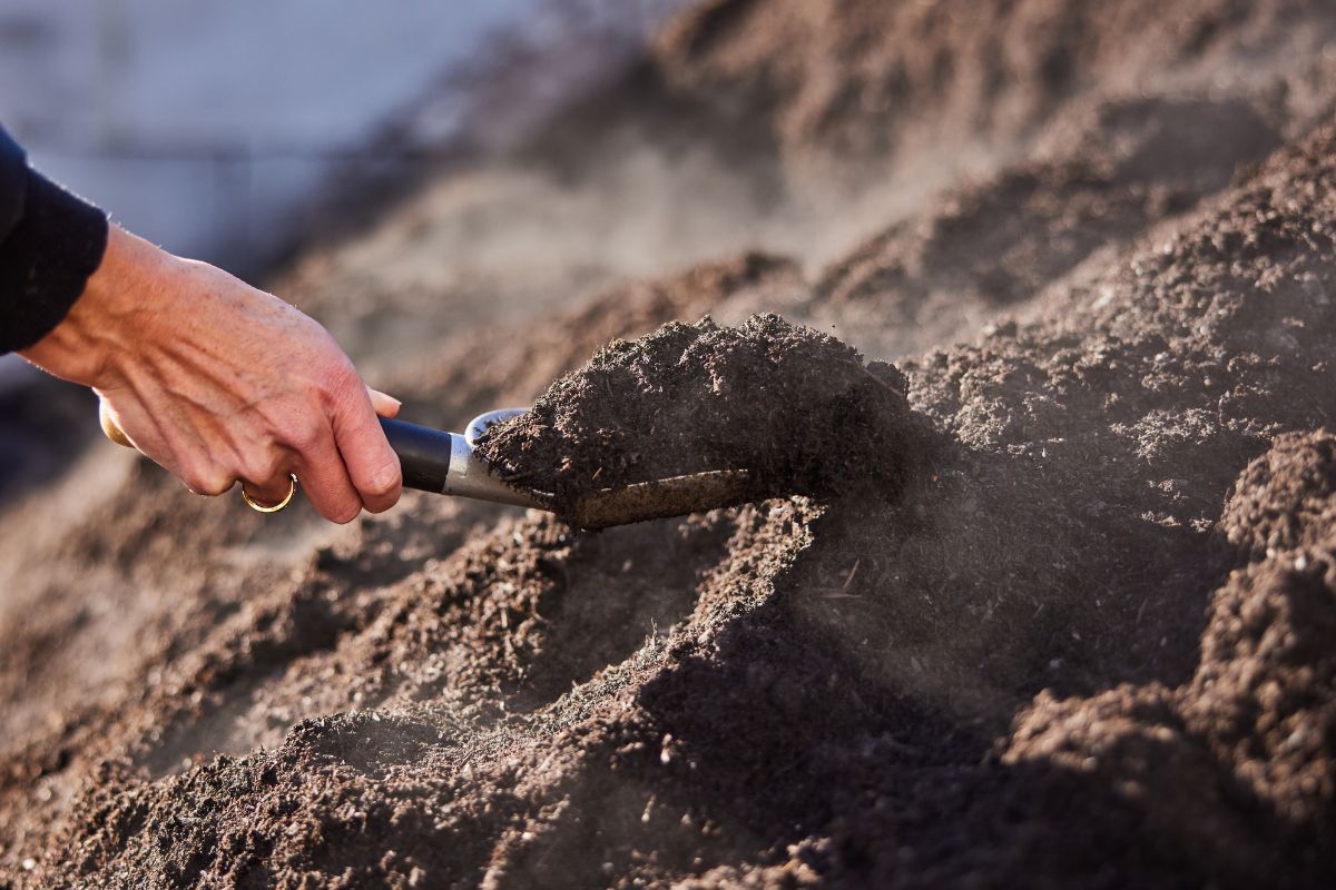 Premium Lenz Compost