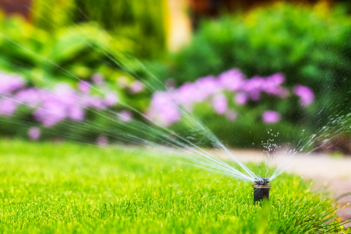 Water Your Lawn