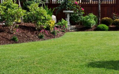 Spring Cleaning: Spring Lawn Renovation Edition