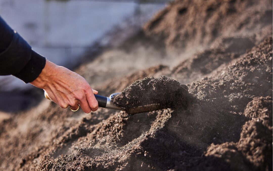 The 7 Benefits Of Compost