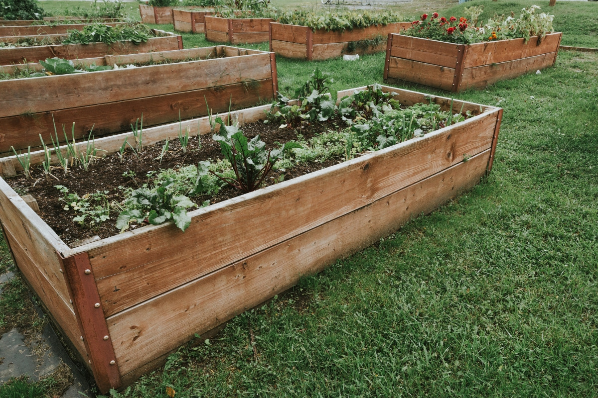 Garden Beds