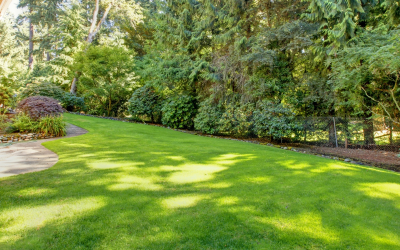 Your June Yard To-Do List: 4 Tasks PNW Homeowners Shouldn’t Skip