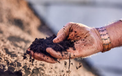Why Mulch is One of the Most Important Things You Can Do for a PNW Landscape
