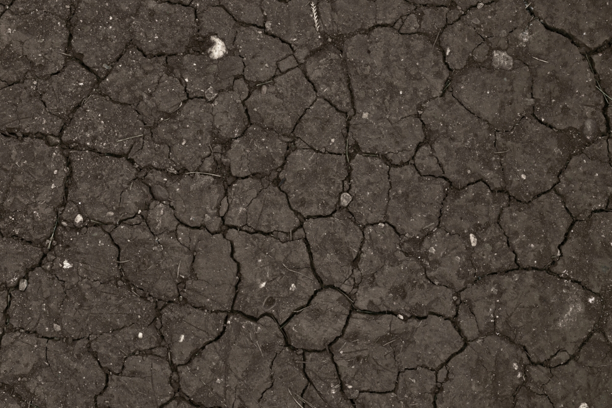 hard soil