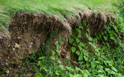 How to Prevent Soil Erosion Before the Rainy Season